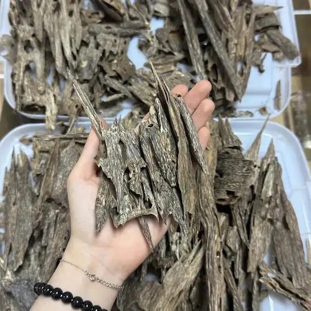 Premium Ant Oud – Wild Vietnam&nbsp; Agarwood Oud | High Resin Block